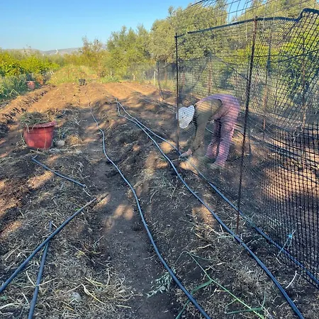 Eco Glamping With Pool Between Nafplio And Argos Exterior photo
