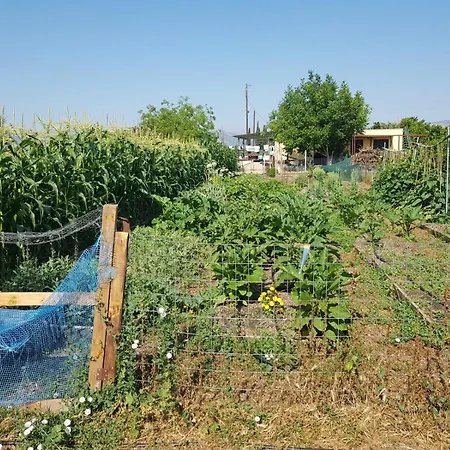 Eco Glamping With Pool Between Nafplio And Argos Exterior photo