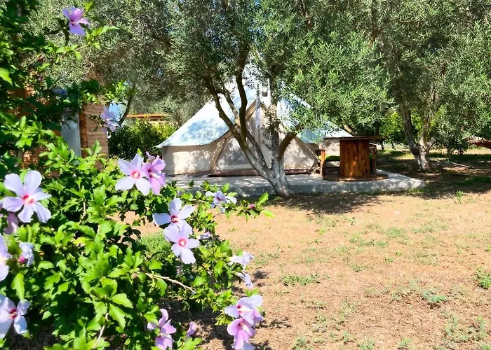 Eco Glamping With Pool Between Nafplio And Argos