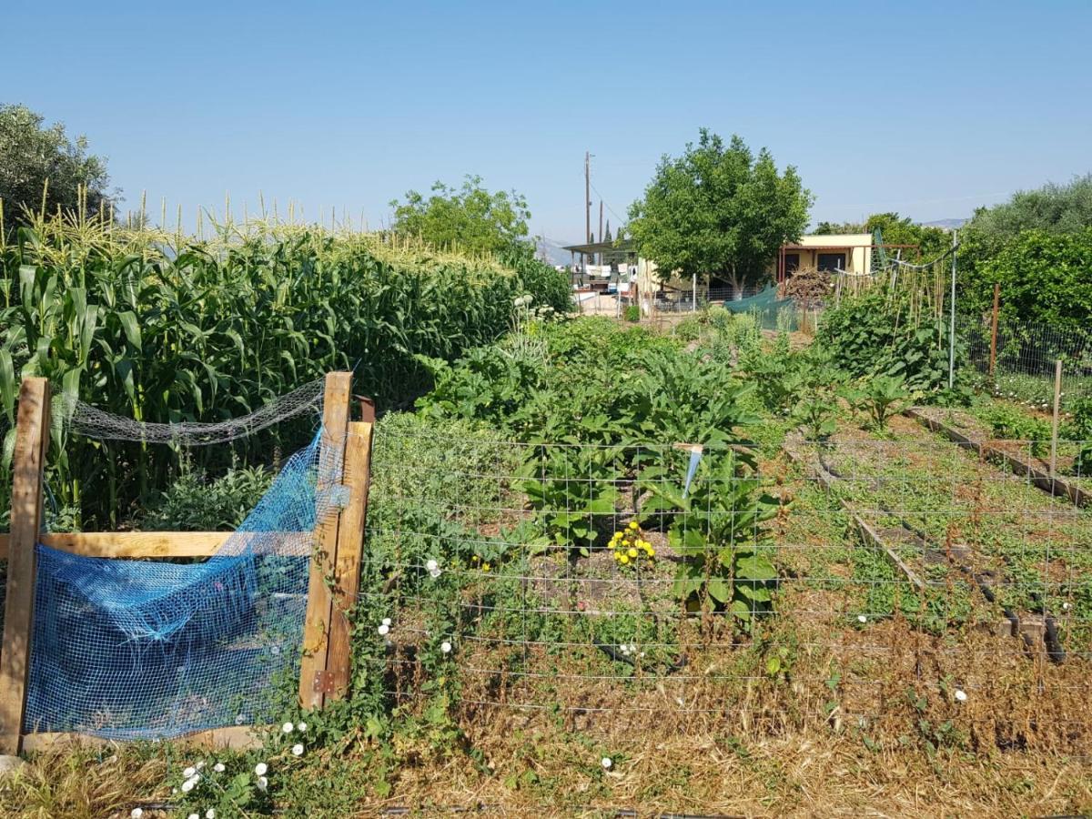 Eco Glamping With Pool Between Nafplio And