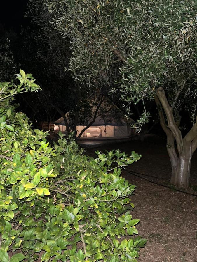 Campingplatz Eco Glamping With Pool Between Nafplio And *