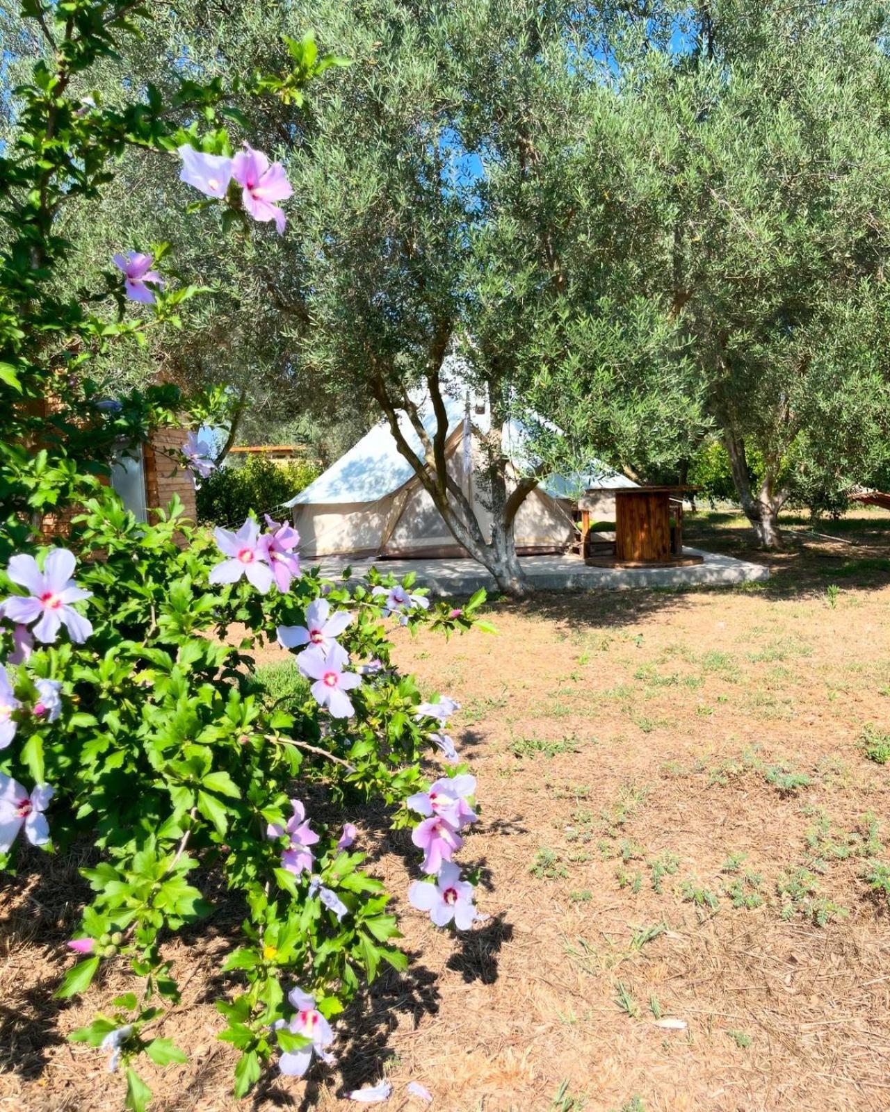 Eco Glamping With Pool Between Nafplio And *