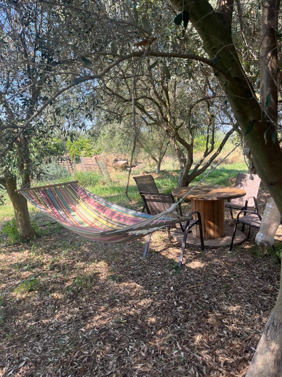 營地 Eco Glamping With Pool Between Nafplio And *