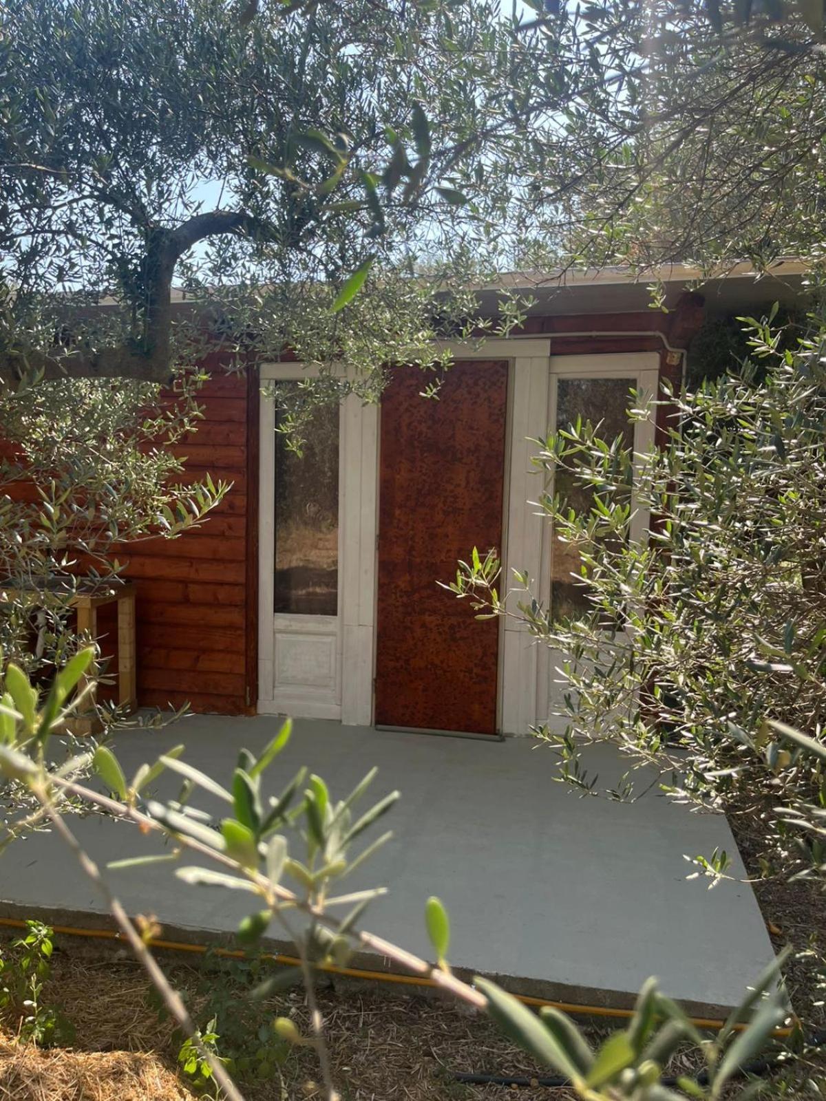 Eco Glamping With Pool Between Nafplio And 營地 Árgos