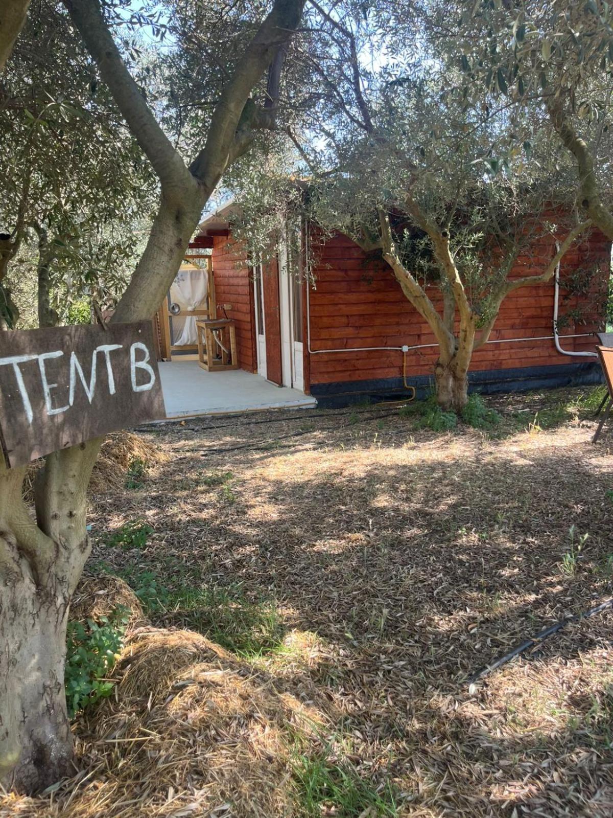 Eco Glamping With Pool Between Nafplio And Árgos
